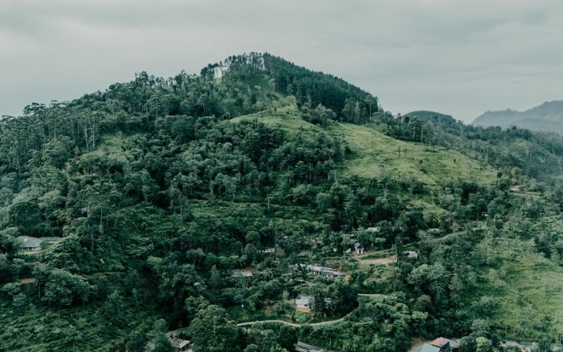 Drone shot showcasing lush green hills and dense forests in Sri Lanka.